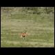 1114-kenia 2010.JPG